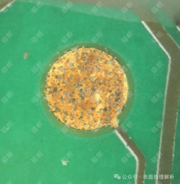 微信图片_2026-08-10_102723_956.png